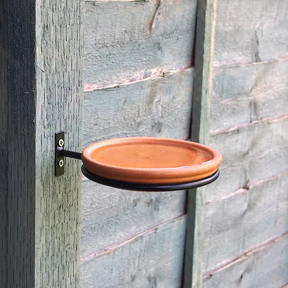 bird bath feeder