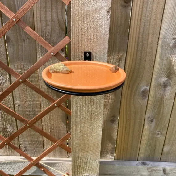 bird bath feeder